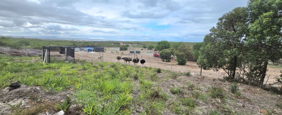 0 Bedroom Property for Sale in Franskraal Western Cape